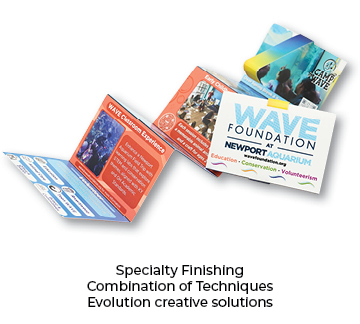 Evolution creative solutions